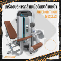 Leg extension Equipment Commercial Gym Equipment  เครื่องบริหารกล้ามเนื้อต้นขาด้านหน้า DFT-806