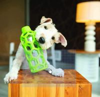 JW Pet Hol-ee Bottle Dog Chew Puzzle Toy, Medium ของเล่นสุนัข