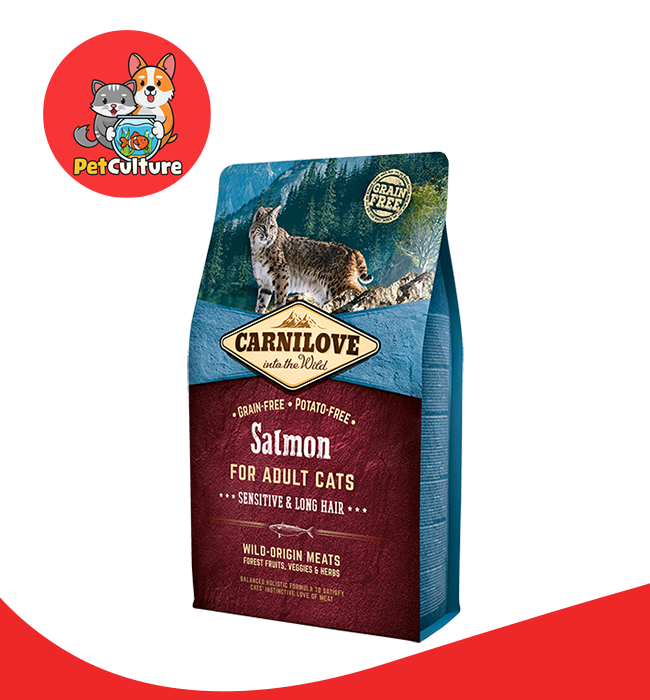 Carnilove 2025 salmon cat