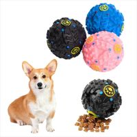 【A Smart and Cute】 Pet Dog Squeaky Ball Toy Puppy Hide Leak Food Sound Soft Plastic Training Chew Funny Dispenser Supplies