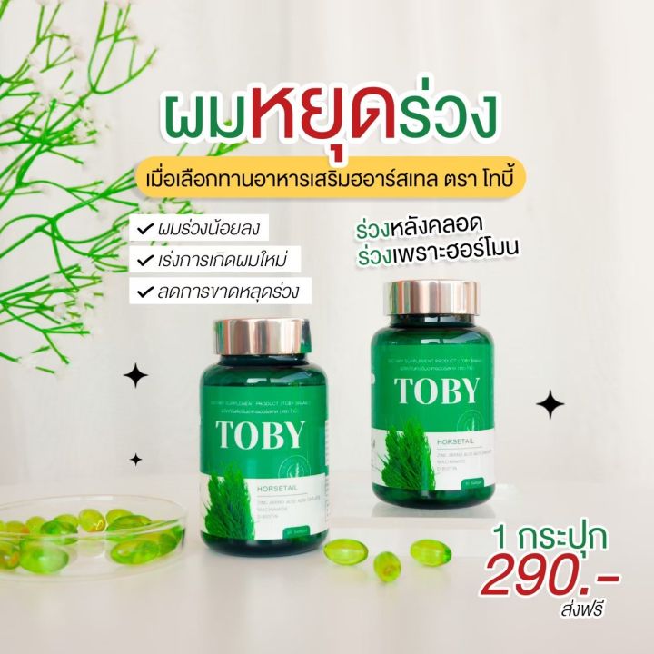 toby-horsetail-โทบี้-ฮอร์สเทล-โทบี้หญ้าหางม้า-วิตามินบำรุงเส้นผม-อาหารเสริมบำรุงผม-1กระปุก-30เม็ด