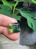 Bi-Color พลอย100% LAB MADE พลอยสองสี GREEN TOURMALINE สีGREEN และ เหลือง 11 กะรัต สะอาดตา รูปไข่ 12X14MM