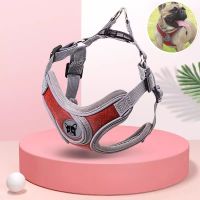 【FCL】►♙❍ Dog Harness Chest Rope Reflective Breathable Adjustable for Small Medium Dogs Outdoor Walking