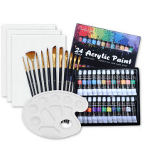 Acrylic Paint Set with Paint Brush,Canvas Boards and Palette for Fabrics Painting Clothing Pigments Professional Artist Painting