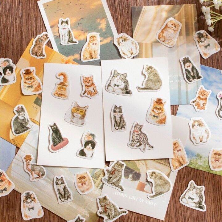 สติกเกอร์กระดาษไดอารี่ลาย-diy-ขนาดเล็กแมวแสนซนของฉัน45ชิ้น-กล่องสติกเกอร์ตกแต่งสมุดติดรูปอัลบั้มสติกเกอร์ตกแต่งสติ๊กเกอร์เครื่องเขียนและป้ายน่ารัก