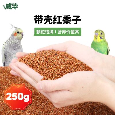 [COD] millet with shell chestnut tiger skin peony parrot bird food feed hamster red pet snacks wholesale