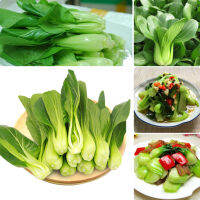 Ready Stock Pak Choi Seed（200pcs/bag）เมล็ดพันธุ์ผัก สามารถให้แร่ธาตุและวิตามินที่ร่างกายมนุษย์ต้องการ อุปกรการเกษตร ผักสวนครัว ไม้ประดับ พันธุ์ไม้ผล Plants- Vegetable Seeds for Gardening - ปลูกง่าย ปลูกได้ทั่วไทย