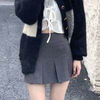 【CC】▩♂✢  HOUZHOU Korean Fashion Gray Pleated Skirt Waist Skirts Kawaii Preppy Streetwear