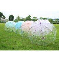 hot【DT】❏  Transparent Flowers Umbrella Half Wind