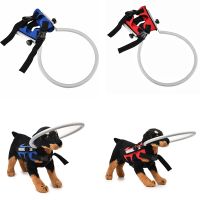 New Blind Pet Anti-collision Collar Ring Dog Safe Harness Guide Training Behavior Aids for Blind Dog Guiding Prevent Collision