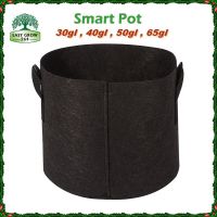 โปรโมชั่น Smart Pot กระถางผ้า 30/40/50/65 แกลลอน ถุงปลูกต้นไม้แบบผ้า Fabric Pot Grow Bag ราคาถูก กระถาง  กระถางต้นไม้ กระถางจพลาสติก จัดสวน