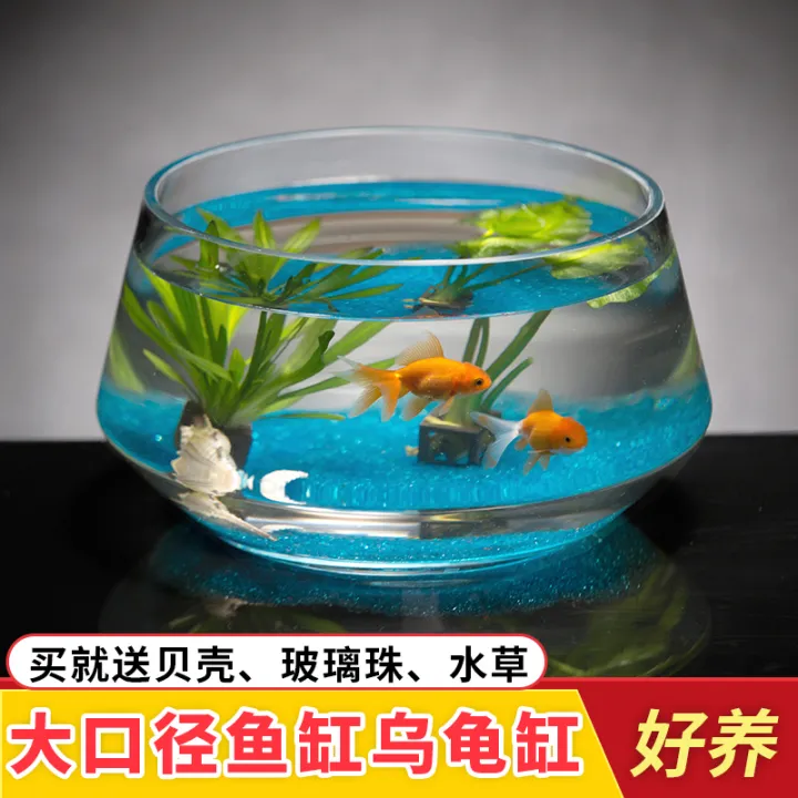 Glass fish tank living room small turtle tank Feng Shui lucky household
