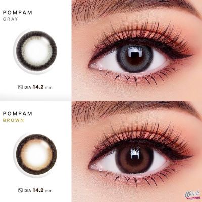 คอนแทคเลนส์ Wink Lens Pompam(Gray,Brown) ค่าสายตา 0.00 ถึง -10.00