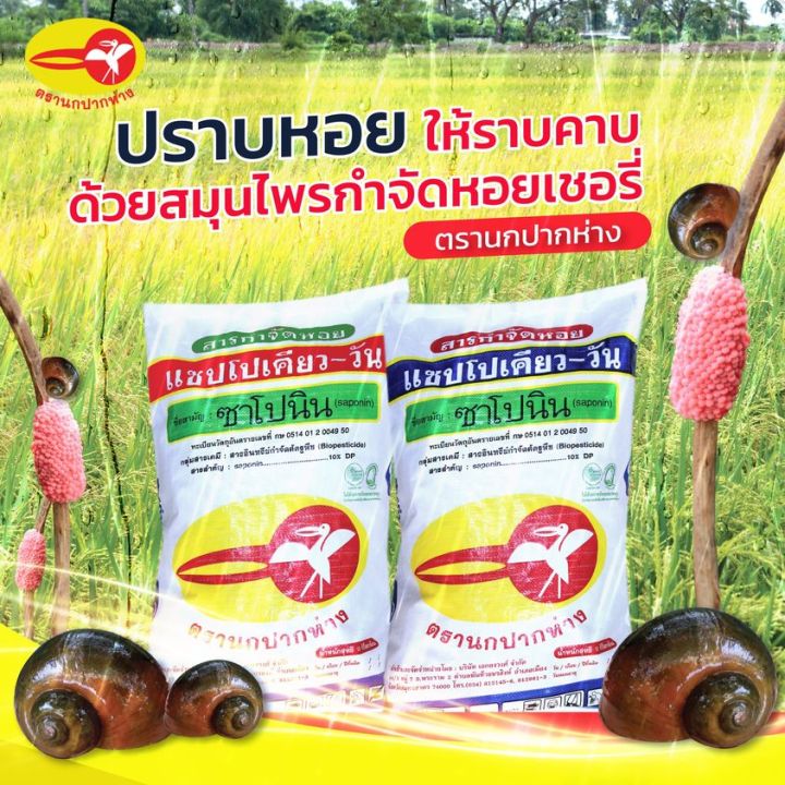 กากชา-กำจัดหอย-ซาโปนิน-บรรจุ-10-กก