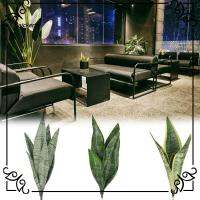 NAICKERTH ของขวัญสำหรับเด็ก ของตกแต่งบ้าน เครื่องประดับเดสก์ท็อป Sansevieria trifasciata Prain ความเขียวขจีเหมือนจริง หญ้ากล้วยไม้ พืชงูเทียม