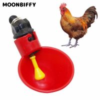 5/10Pcs Poultry Water Drinking Cups Automatic Quail Chicken Pigeons Drinking Plastic Chicken Fowl Drinker Cup Breeding Equipment