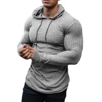 【YD】 moda primavera outono com capuz suéteres masculino fino de malha ginásio roupas ajuste pulôver homem clássico nervuras camisola