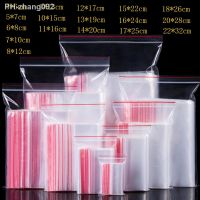 100pcs/pack Small Zip Lock Plastic Bags Reclosable Transparent Bag Shoe Bag Vacuum Storage Bag Food Storage Bag Poly Clear Bags