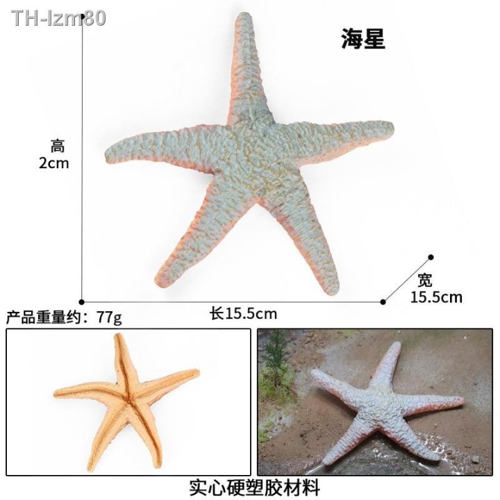 ของขวัญ-childrens-educational-simulation-model-of-marine-biological-starfish-echinoderms-solid-plastic-bottom-cognitive-toys