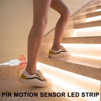 Motion Sensor Night Light LED PIR Closet Light Strip USB Wireless Cabinet Led Lamp Tape 2835 SMD Wardrobe Stairs Led Lighting