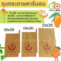 ถุงกระดาษคาร์บอน ขนาด19x30ซม. 100ใบ/แพ็ค