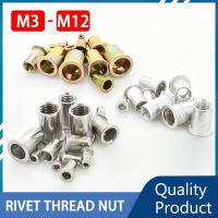 ► M3 M4 M5 M6 M8 M10 M12 Stainless Steel Rivet Nut Flat Head Thread Flange Insert Nuts Zinc Plated Nutsert Alloy Rivnut 50/100Pcs