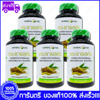 5 ขวด(Bottles) Herbal one Finger Root Extract อ้วยอัน กระชายสกัด 60 แคปซูล (Capsules)