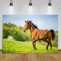 Running Horse Grassland Blue Sky Cloudy Scene Photozone Photography Background Photo Backdrop Photocall For Photo Studio Props Party  Games Crafts