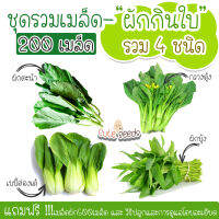 เมล็ดพันธุ์ผักสวนครัวผักกินใบ 200เมล็ด กวางตุ้ง คะน้า เบบี้ฮ่องเต้ ผักบุ้ง อัตราการงอก95% เมล็ดเก็บไว้ได้นาน2ปี