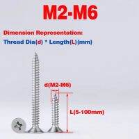 316 SS kepala datar kepala Countersunk sekrup Self-Tapping/sekrup Phillips M2-M6