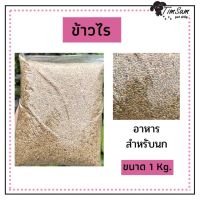 Woww สุดคุ้ม ข้าวไร อาหารนกแบบแบ่ง 1 kg. ราคาโปร อาหาร นก อาหารนกหัวจุก อาหารนกแก้ว อาหารหงส์หยก