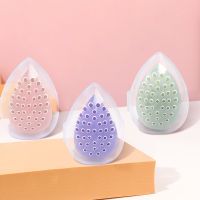 【jw】▨◑☌  Sponge Storage Makeup Puff Egg-shaped Frame Transparent Dry Make Up Organizer Holders
