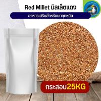 สุดยอด Red Millet มิลเล็ตแดง อาหารนก กระต่าย หนู กระต่าย กระรอก ชูก้า และสัตว์ฟันแทะ (กระสอบ 25KG)