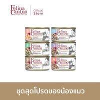 Felina Canino ชุดสุดโปรดของน้องแมว 70g./กระป๋อง จำนวน 6 กระป๋อง