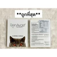 Renavast for Cat (Exp.08/2023) อาหารเสริมบำรุงไตน้องแมว