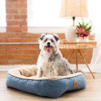 Petmate Precision SnooZZy Low Bumper Dog Bed เพ็ทเมท พรีซิชั่น ที่นอน รุ่น สนูซซี่ ทรงเหลี่ยม