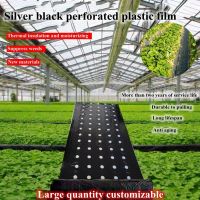 Agricultural perforated PE Film Weeding Insulation Vegetable Seedlings Watermelon Strawberry Fruit Planting Thicken Black Mulch