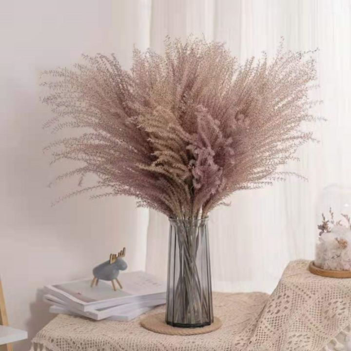 ayiq-flower-shop-ต้นกกแห้งจากธรรมชาติแพมปาสขนาดเล็กงานฝีมือแบบ-diy-ช่อดอกไม้งานแต่งอุปกรณ์ตกแต่งบ้านอุปกรณ์ประกอบฉากการถ่ายภาพ
