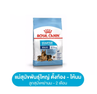 Royal Canin Maxi Starter Mother &amp; Baby Dog 1 kg โรยัล คานิน อาหารแม่สุนัข และอาหารลูกสุนัขหย่านม พันธุ์ใหญ่ อายุ 1-2 เดือน