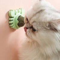 Catnip Bite-resistant Teeth Grinding Material Crab Rotating