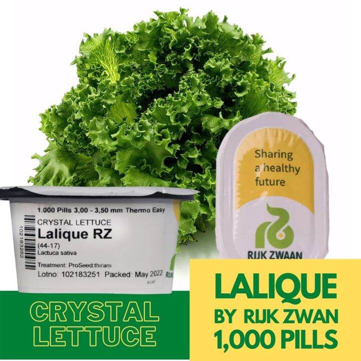 Lalique Crystal Lettuce Seeds Pills Rijk Zwaan Lazada PH
