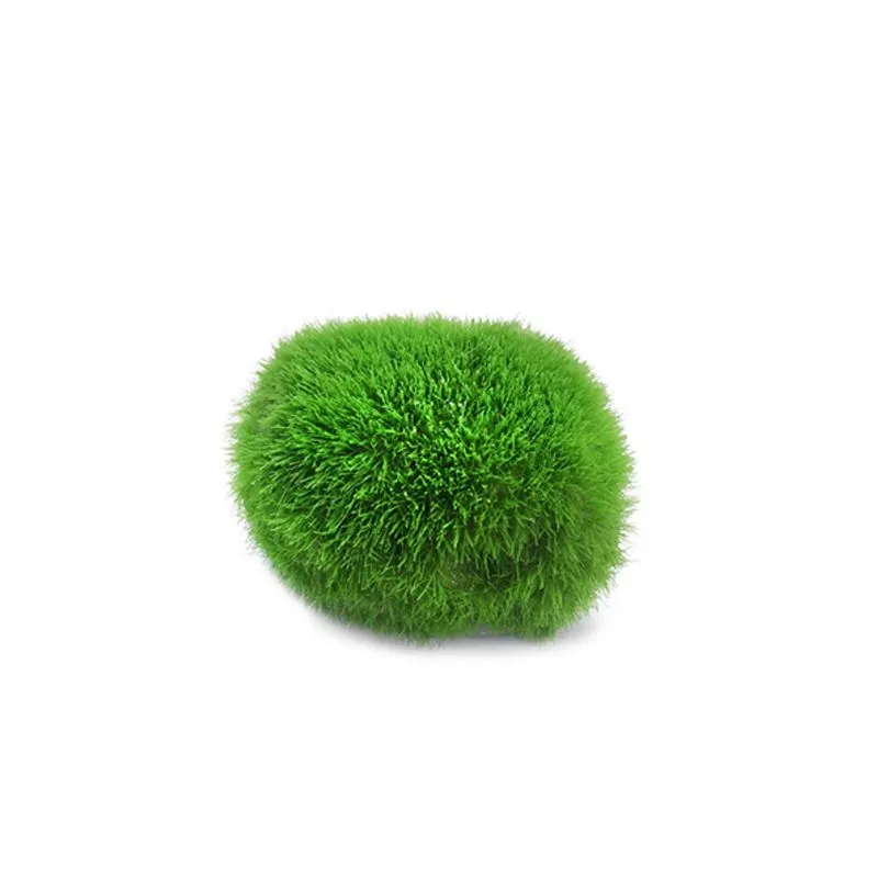 1pcs 2-3cm Marimo Moss Balls Live Aquarium Plant Algae Simulation Green  Algae Balls Artificial Plant