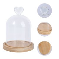 【On Sale】 Jime Shops Cloche Bell Jar แก้วแสดงโดมแก้วแสดง Jar แก้ว Bell Dome Jar Cloche Dome ตกแต่ง Jars