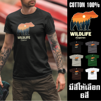 เสื้อยืดลาย Bear Wild Explorer เสื้อยืดคอกลม เสื้อยืดแขนสั้น Cotton 100%