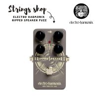 เอฟเฟคกีตาร์ Electro Harmonix Ripped Speaker Fuzz