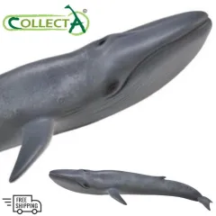Ships Free in USA w/ $25 CollectA Grey Whale Replica 88836 ~ NEW for 2018 