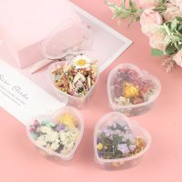 【cw】 Epoxy Resin Pendant Dried Dry Aromatherapy Candle Necklace Jewelry Making Accessories random ！