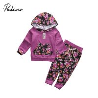 2022 Baby Spring Autumn Clothing 2PCS Newborn Baby Boy Girl Floral Clothes Cotton Hooded Long Sleeve Top+Pants Outfits 0-24M  by Hs2023