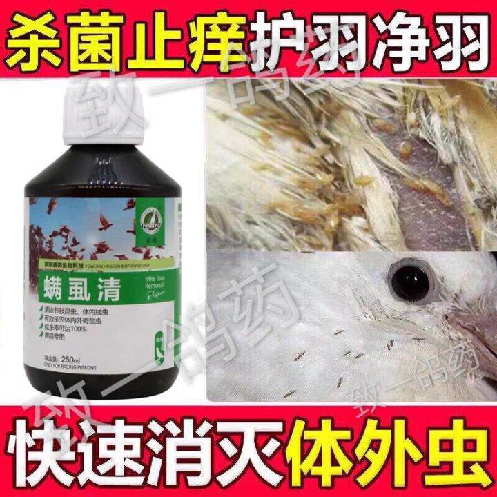 Parrot Thrush Starling In Vitro Deworming Pigeon Feather Lice Net Mite