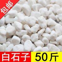 [COD] 50 catties of white stone large cobblestone courtyard paving garden dry